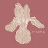 Ivory Iris Co. - @ivory.iris.co - TikTok