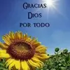 Iris Izquierdo - @iris.izquierdo4 - TikTok