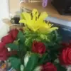 iris izquierdo - @iris.izquierdo7 - TikTok