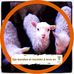 Iris Jacobsen - Facebook