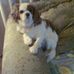 Iris Jarvis - Facebook