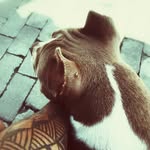 Jason & iris - @family_jason_iris - Instagram