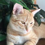 Iris Tessie Dolly Jessie - @iris.tessie.dolly.jessie - Instagram