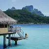 iris - @iris.josephine - TikTok