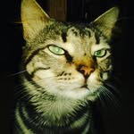 Iris M - @iriskidd1970 - Instagram