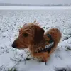 Iris Kingma - @irisi007 - TikTok