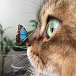 Iris Kirsch - @iris_kirsch - Instagram