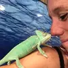iriskirschner269 - @iriskirschner269 - TikTok