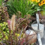 Kirschner, Birgit Iris - @iris_kirschi - Instagram