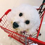 Iris - @iris_kitchen__ - Instagram