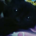 Iris 😺 - @iriskitty___ - Instagram