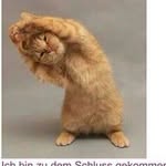 iris klinger - @irisklinger - Instagram