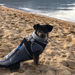 Iris Knight - @irispuppy69 - Instagram