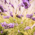 Iris Knight Photography - @iris_knight_photography - Instagram