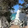 iris - @iris.knowles - TikTok