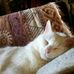 Iris Knowles - Facebook