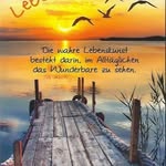 Iris Koch - @iris.koch.589 - Instagram