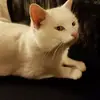 Iris Koch - @iris.koch - TikTok