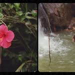 Iris Koller - @nilsasuess511 - Instagram
