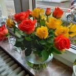 Iris Kraft - Facebook