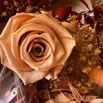 Iris Krause - @iris_krce - Instagram