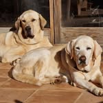 Iris Krause - @irismallorca13 - Instagram