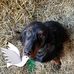 Iris Krug - Facebook