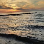 Iris Krüger - @amaryllis_73 - Instagram