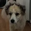 Iris Kurtz - @user5745975097697 - TikTok
