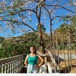 Ibarra Iris - @iris_lai30 - Instagram