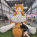 Iris Lai - Facebook