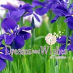 Iris Lam - Facebook