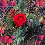 Iris Lancaster - Facebook
