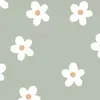 irisland - @irisland19 - TikTok