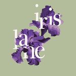 Iris Lane - @irislanechennaihyd - Instagram