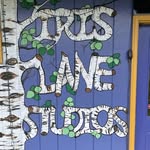 Iris Lane Studios - @irislanestudios - Instagram