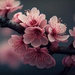 Iris LAPORTE - @iris200626 - Instagram