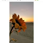 Iris Larios - Facebook