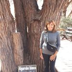 Iris Ledesma - @irismabel.ledesma - Instagram