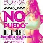 Iris Ledezma Loera - @irisledezmaloera - Instagram