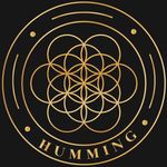 Mindfulness Meditation Classes by Iris Lentjes - @humminginjacksonheights - Instagram