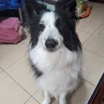 Huei-Yi Liao - @iris_liao_hui_hui - Instagram