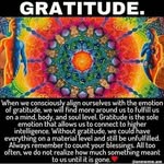 Rochelle Robyn Patel - @irislight_mystical_adventures - Instagram