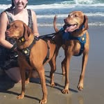 Lincoln and Iris - @viz.lincoln.iris_ss.molly - Instagram