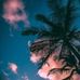 Iris Lobo II - Facebook