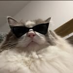 lris___loh - @iris___loh - Instagram
