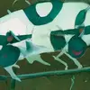 irislovelace3 - @irislovelace3 - TikTok