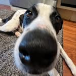 lucky + irie - @luckyisthecoolest - Instagram