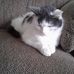 Iris Lyon - Facebook