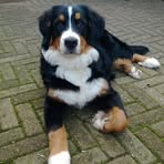Iris Madsen - Facebook